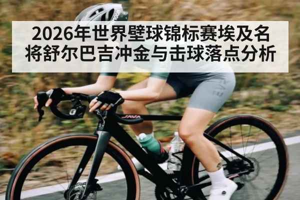 2026年世界壁球锦标赛埃及名将舒尔巴吉冲金与击球落点分析